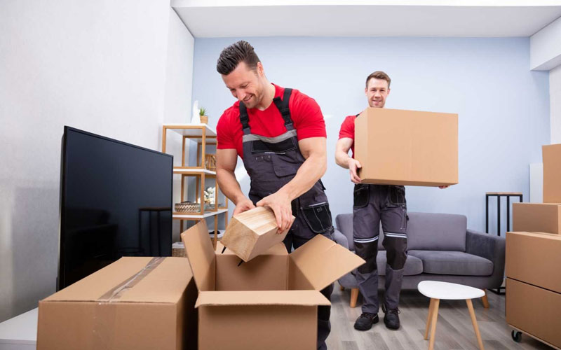 Office And Local Shifting